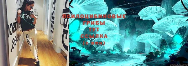 меф Нефтегорск